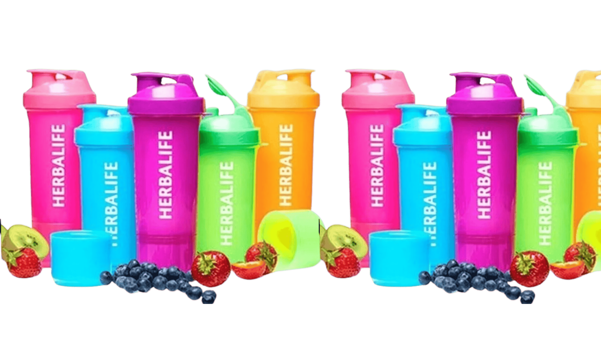 shakerlar ve suluklar